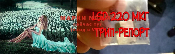 Альфа ПВП Балабаново