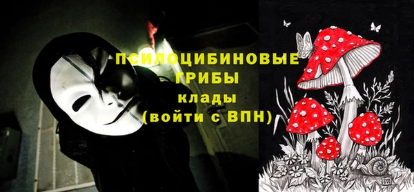 Альфа ПВП Балабаново